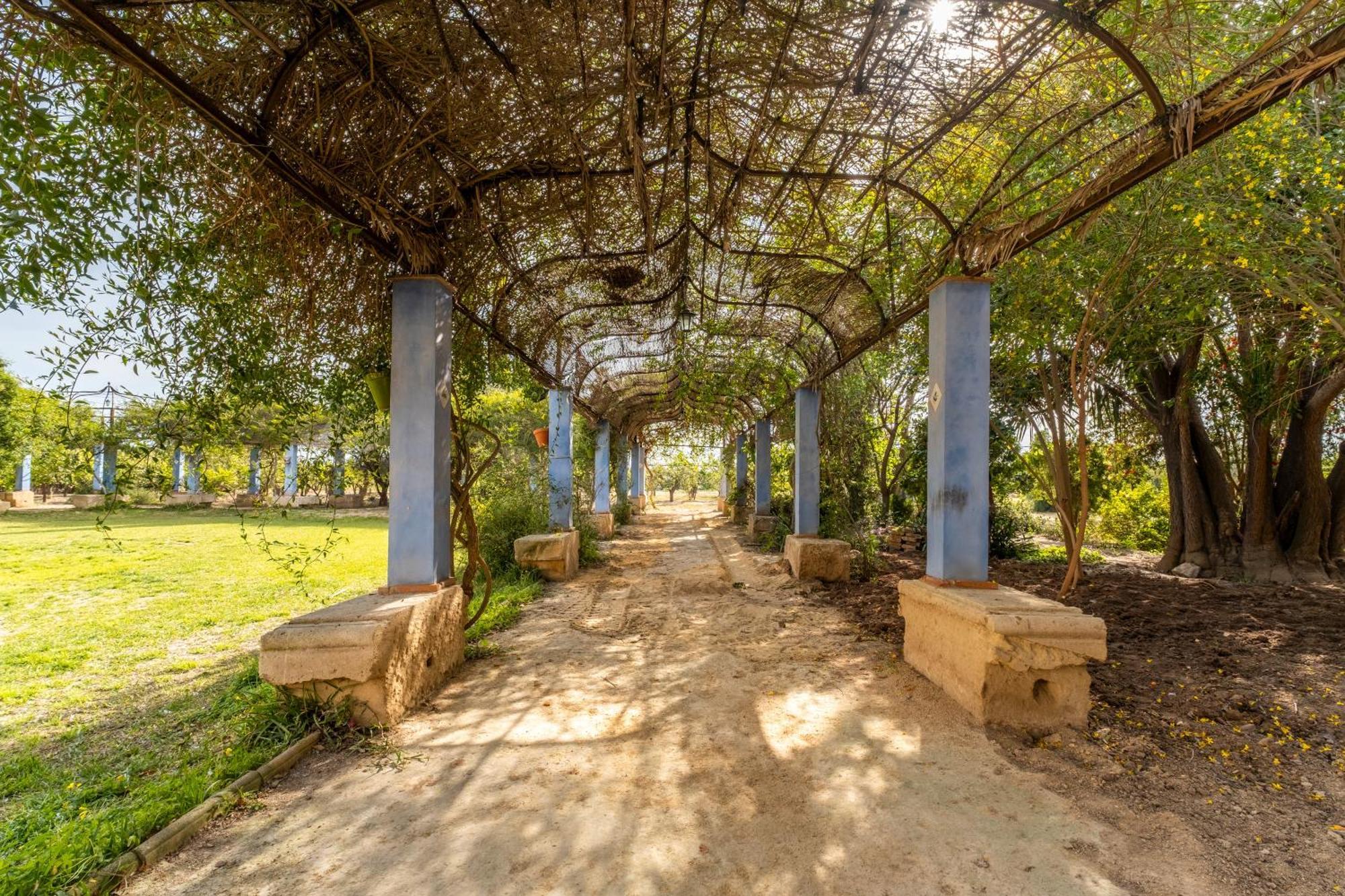 La Carrasca - Naranja Guest House Catral Exterior photo